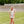 Load image into Gallery viewer, Taupe Zebra Skirt