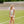 Load image into Gallery viewer, Taupe Zebra Skirt